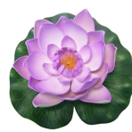 Плавающая лилия PondoLily, фиолетовая