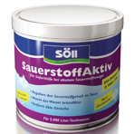 Soll      Sauerstoff-Aktiv 500  ( 5 .)